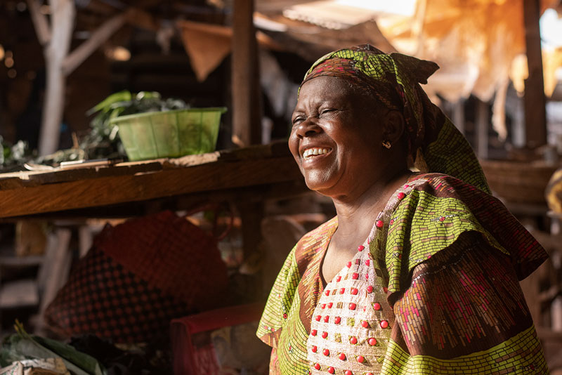 Health and Water Foundation - Our Programs Page - Community and Institutional Gender Mainstreaming Integration (CIGEMI)